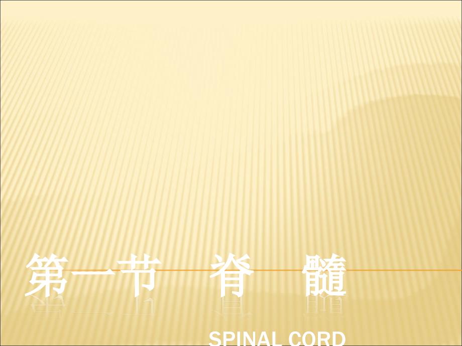 中枢神经系统系统解剖学.ppt_第2页