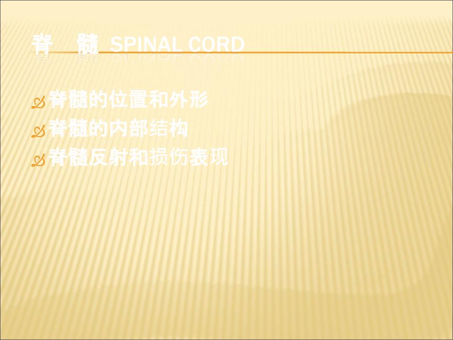 中枢神经系统系统解剖学.ppt_第3页