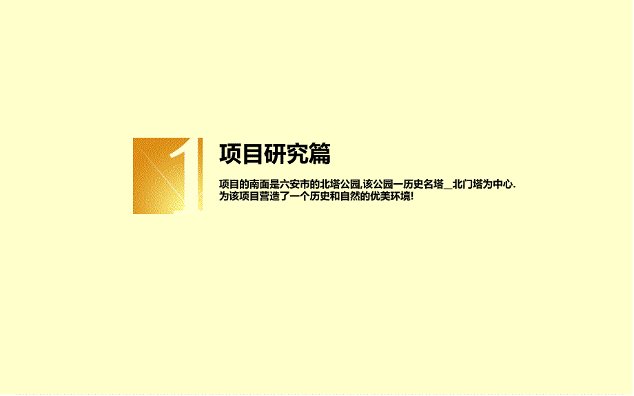 六安不夜城创意营销策划方案.ppt_第2页