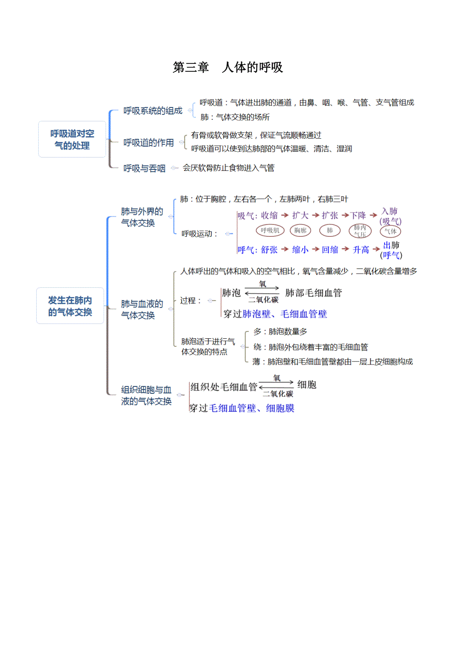 人教版七年级生物下册考点思维导图版.doc_第3页