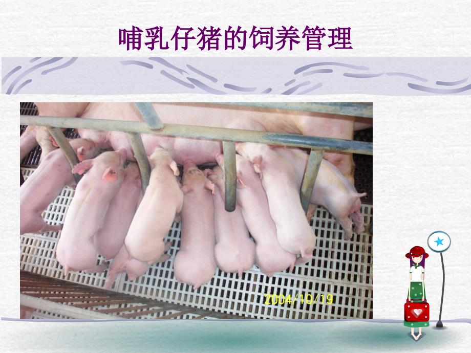 仔猪的饲养管理PPT课件.ppt_第3页