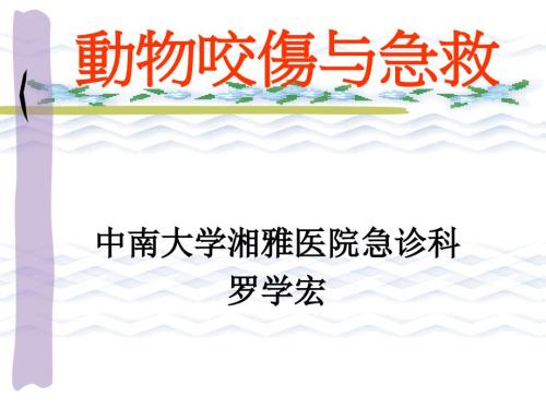 动物咬伤讲PPT课件.ppt