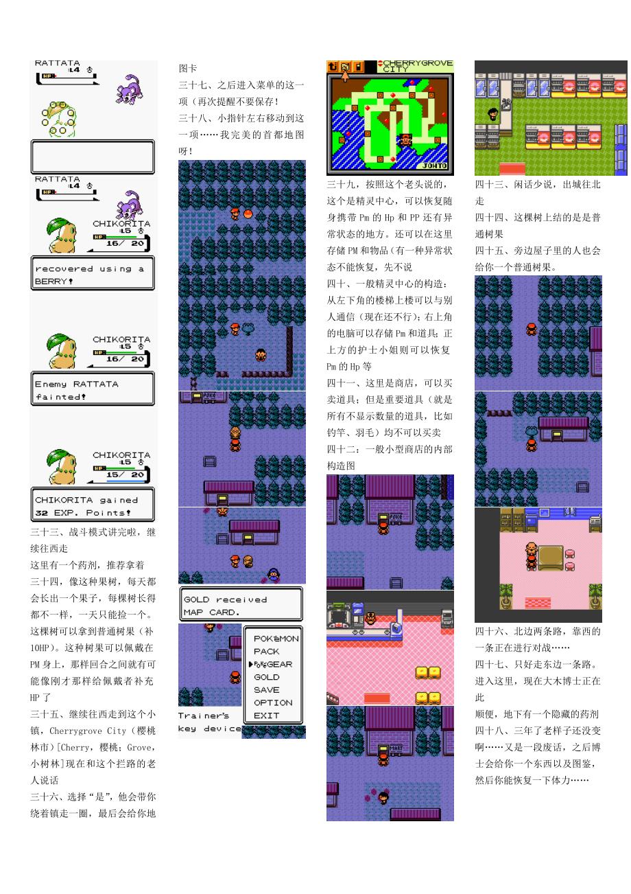 口袋妖怪金银带图攻略v1.3.doc_第3页