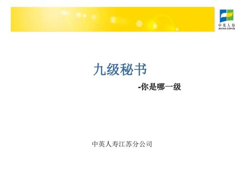 九级秘书.ppt