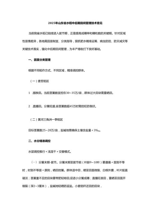 2025年山东省水稻中后期田间管理技术意见.docx