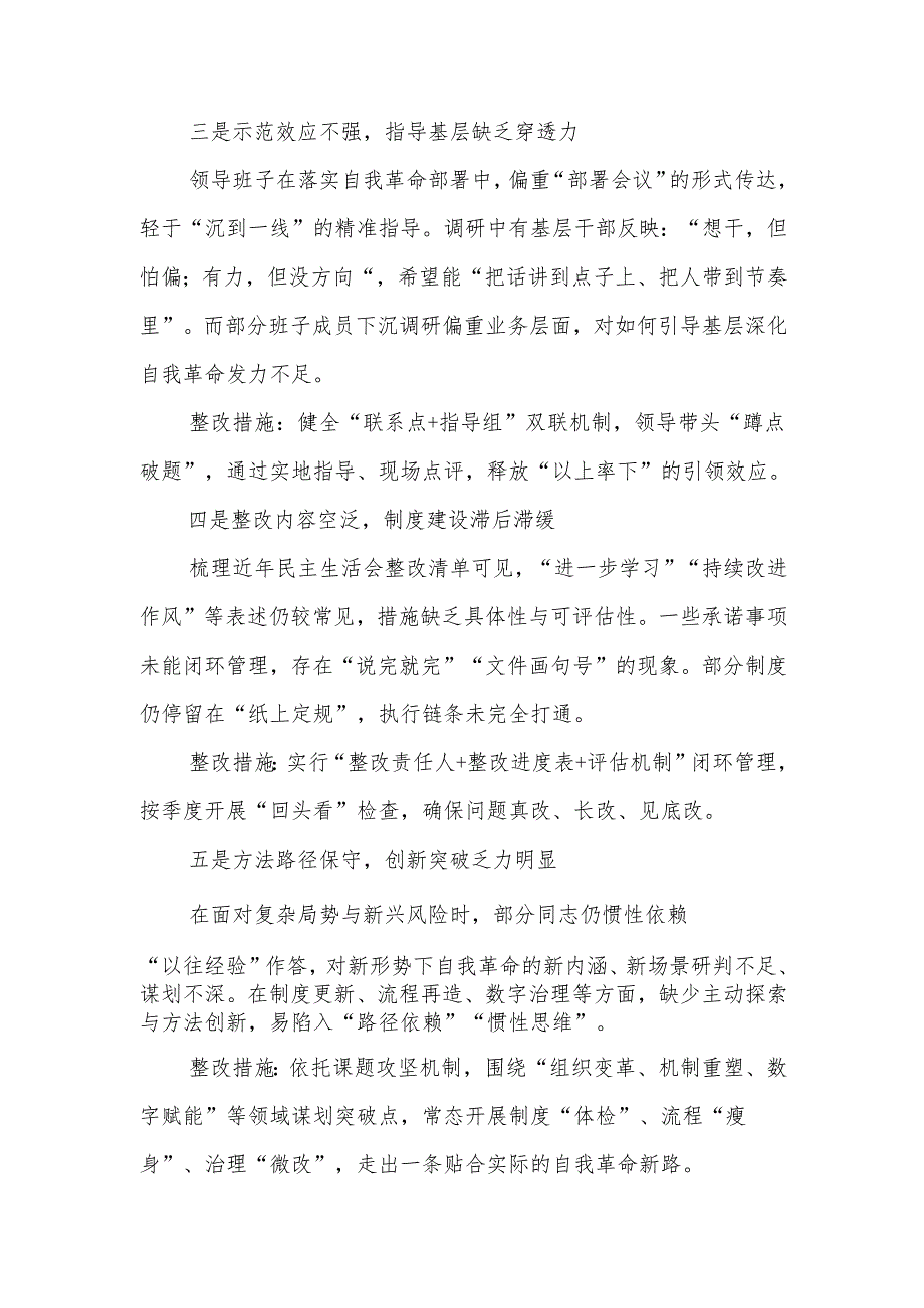 2025班子学习教育新增五个方面查摆问题清单（含问题、措施）.docx_第2页