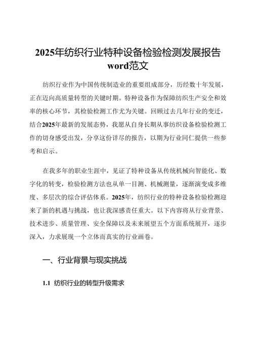 2025年纺织行业特种设备检验检测发展报告word范文.docx