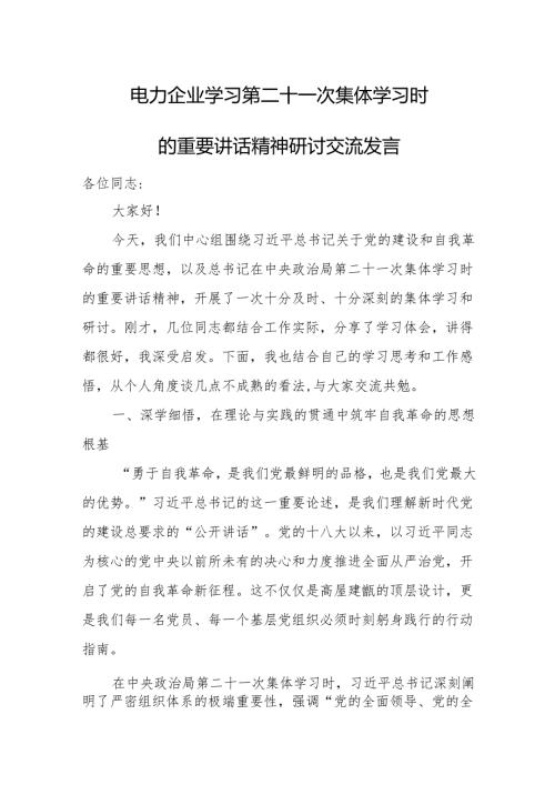 2025电力企业学习第二十一次集体学习时的重要讲话精神研讨交流发言.docx