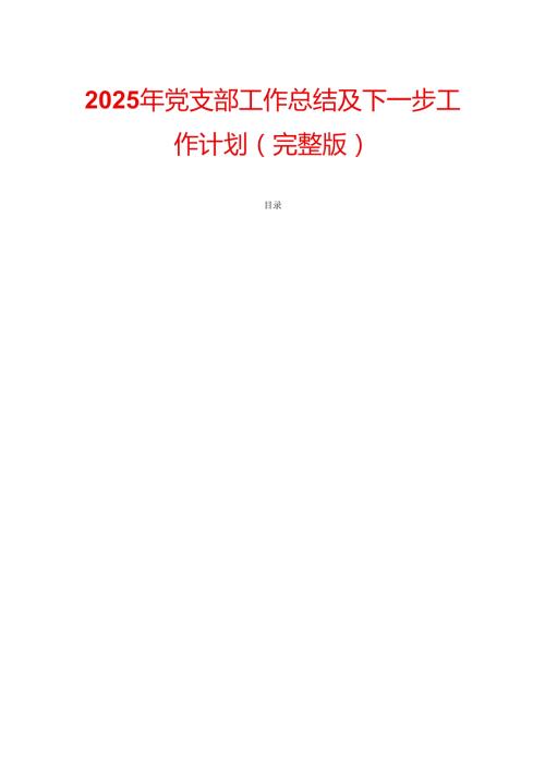 2025 年党支部工作总结及下一步工作计划（完整版）.docx
