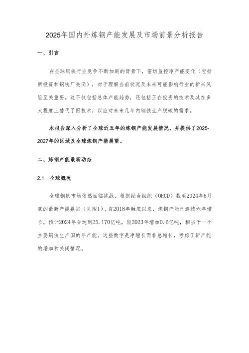 2025年国内外炼钢产能发展及市场前景分析报告.docx