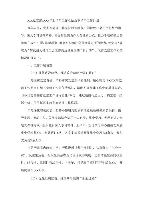 XXX党支部XXXX年上半年工作总结及下半年工作计划.docx
