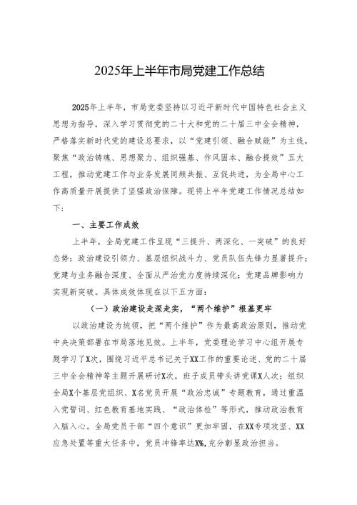 2025年上半年市局党建工作总结材料.docx