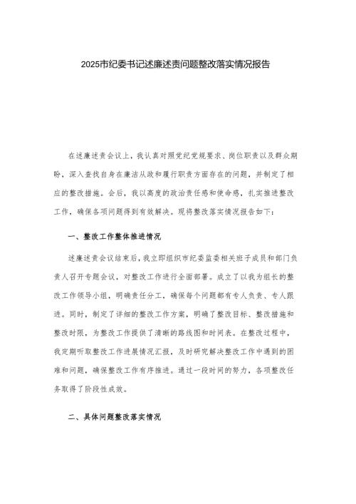 2025市纪委书记述廉述责问题整改落实情况报告.docx