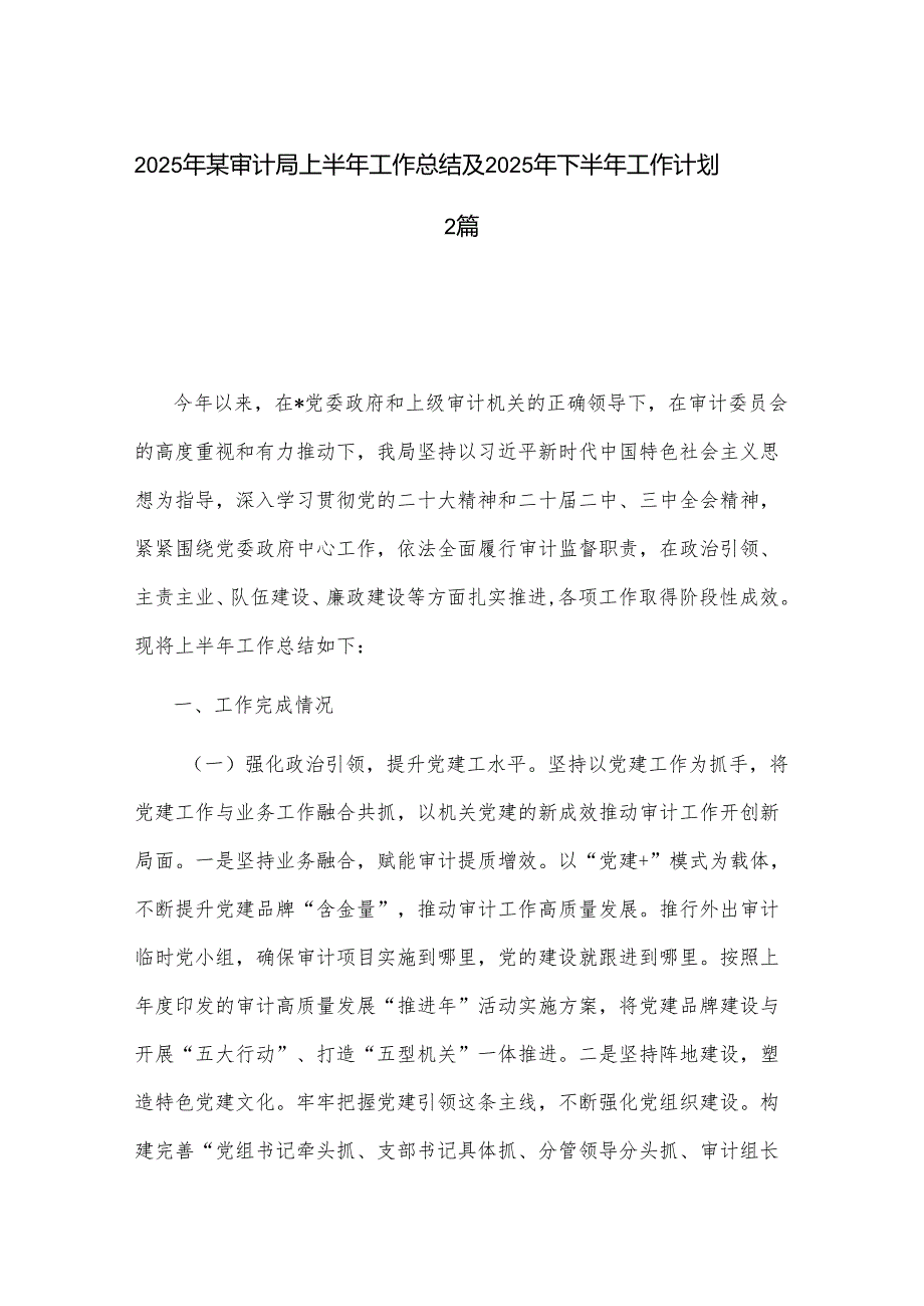 2025年某审计局上半年工作总结及2025年下半年工作计划2篇.docx_第1页