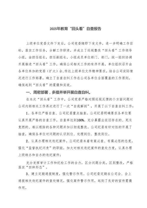 2025年教育“回头看”自查报告 5篇精选.docx