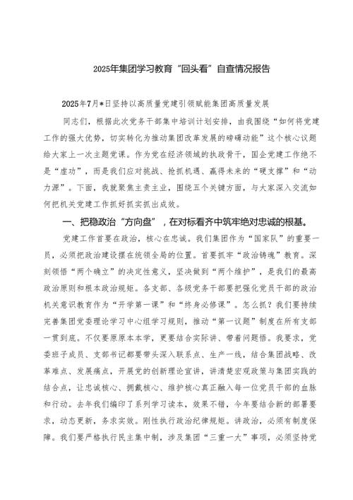 2025年集团学习教育“回头看”自查情况报告（共5篇）.docx