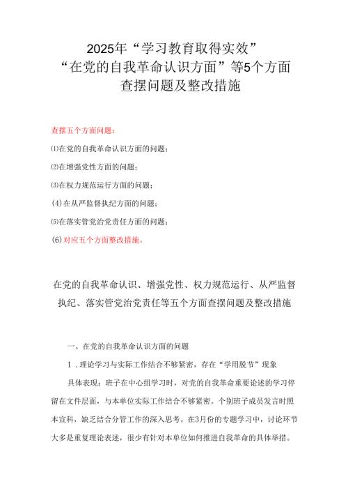 2025年在党的自我革命认识等5个方面查摆问题及整改措施.docx