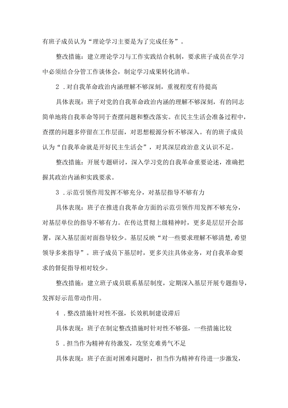 2025年在党的自我革命认识等5个方面查摆问题及整改措施.docx_第2页