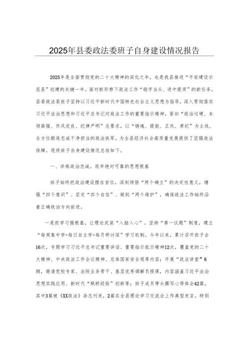 2025年县委政法委班子自身建设情况报告.docx