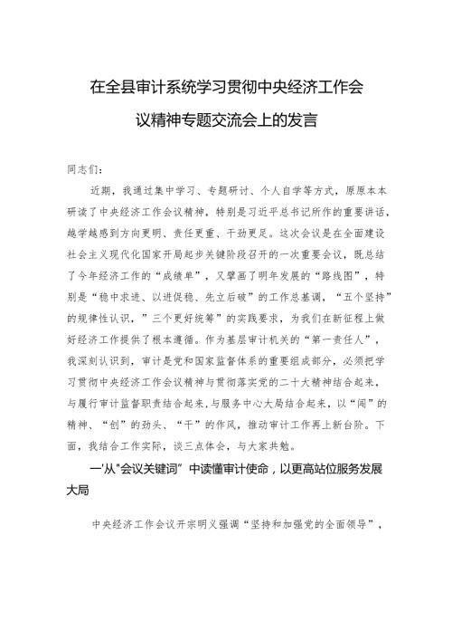 2025在全县审计系统学习贯彻中央经济工作会议精神专题交流会上的发言.docx
