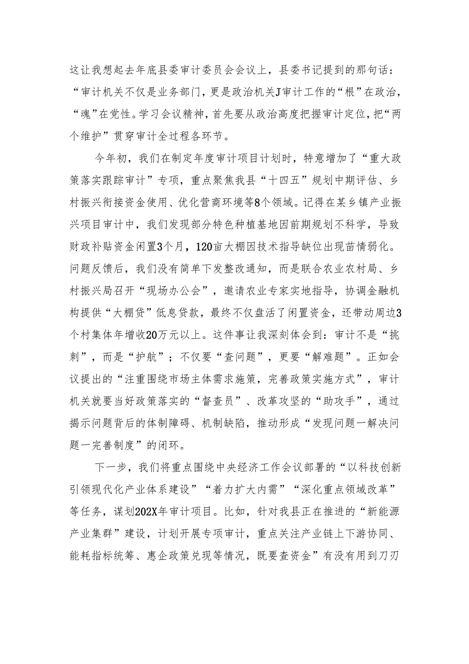 2025在全县审计系统学习贯彻中央经济工作会议精神专题交流会上的发言.docx_第2页