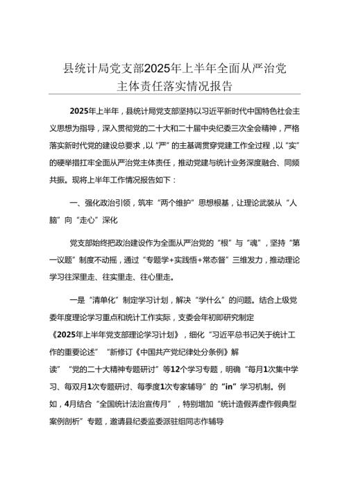 县统计局党支部2025年上半年全面从严治党主体责任落实情况报告.docx