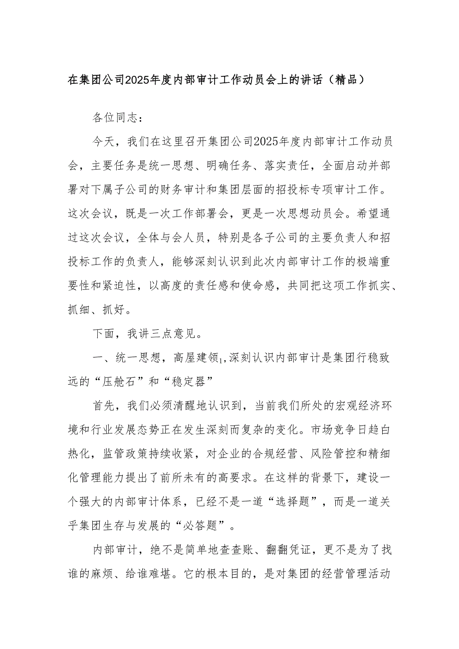 在集团公司2025年度内部审计工作动员会上的讲话（精品）.docx_第1页