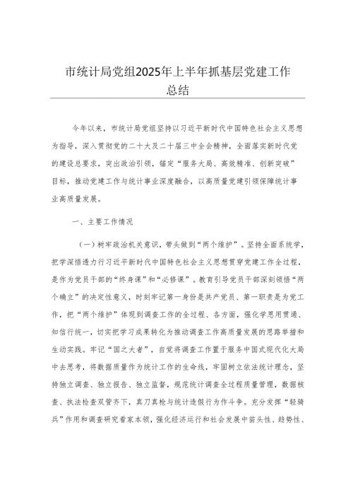 市统计局党组2025年上半年抓基层党建工作总结.docx