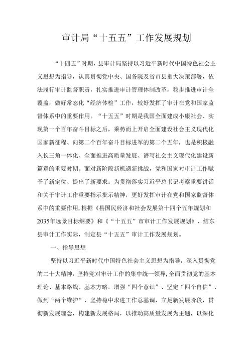审计局“十五五”工作发展规划.docx