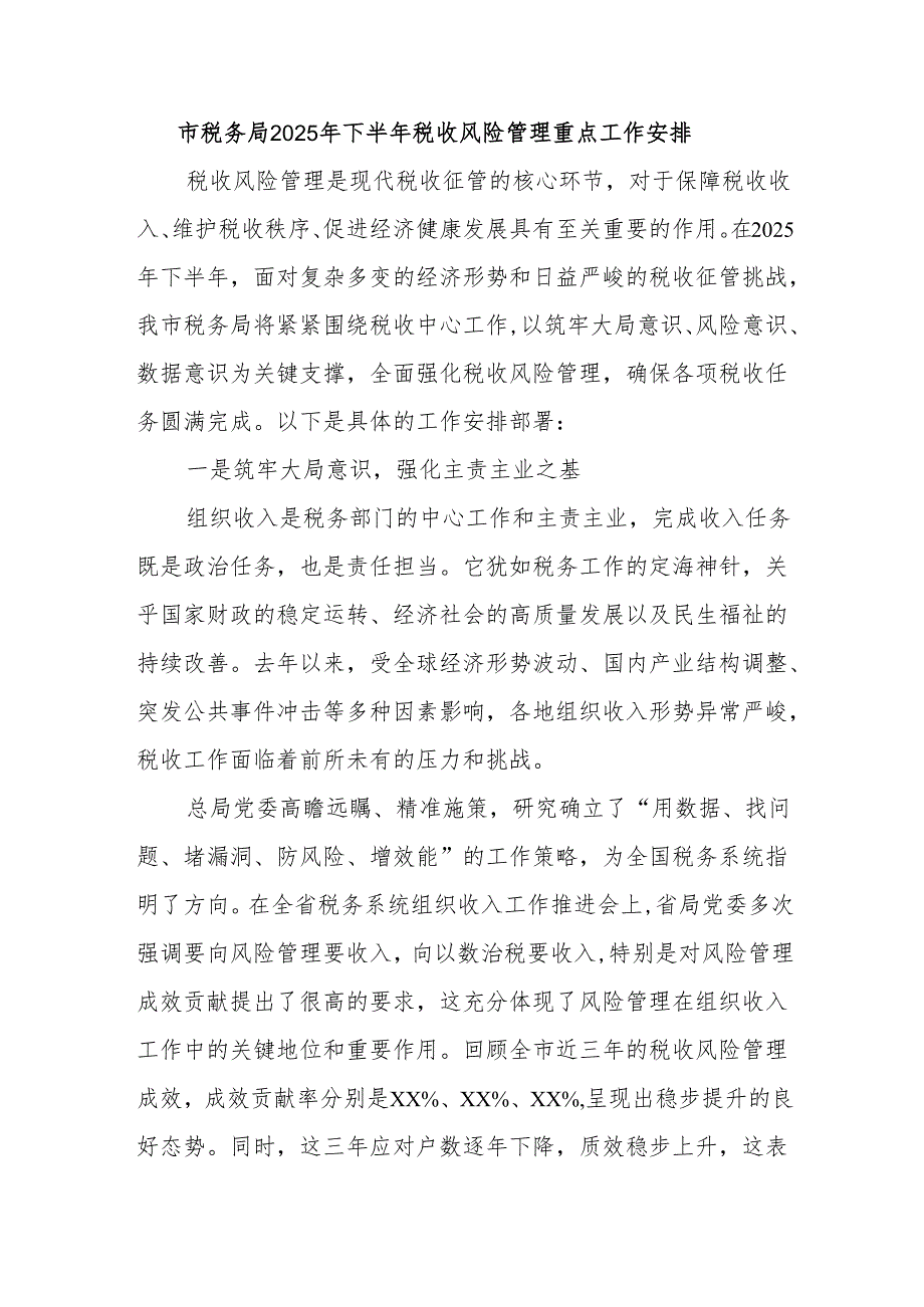 市税务局2025年下半年税收风险管理重点工作安排.docx_第1页