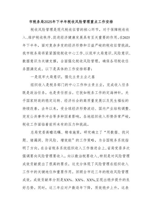 市税务局2025年下半年税收风险管理重点工作安排.docx