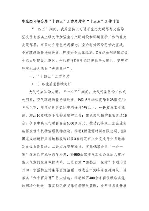 市生态环境分局“十四五”工作总结和“十五五”工作计划.docx