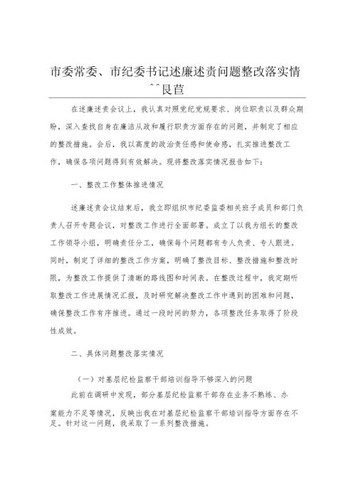 市委常委、市纪委书记述廉述责问题整改落实情况报告.docx