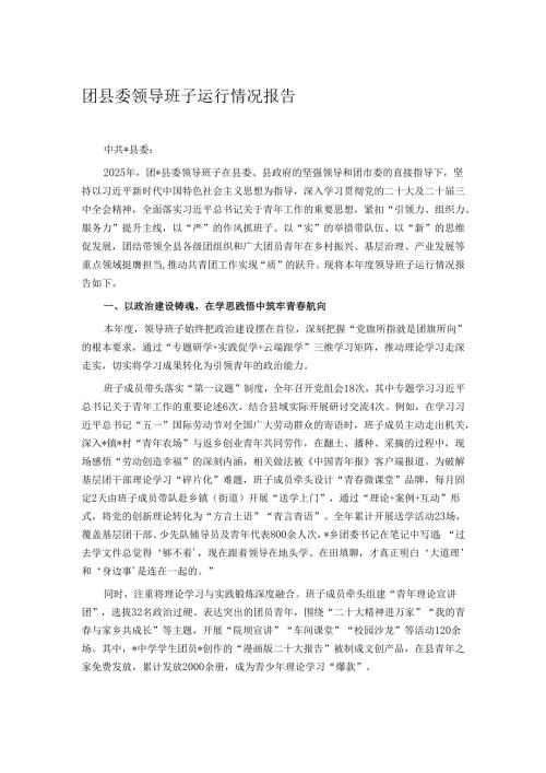 团县委领导班子运行情况报告.docx