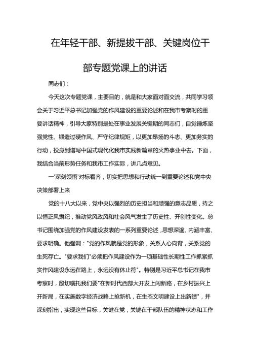 在年轻干部、新提拔干部、关键岗位干部专题党课上的讲话.docx