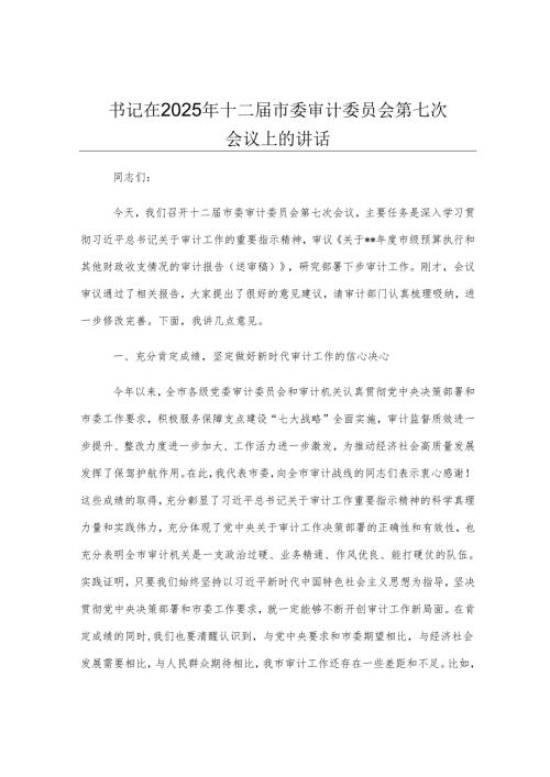 书记在2025年十二届市委审计委员会第七次会议上的讲话.docx