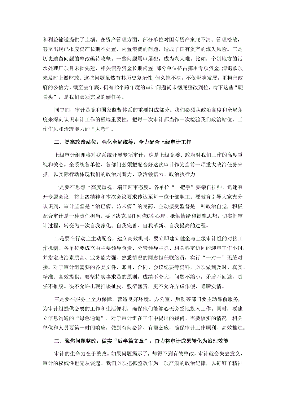 在2025年政府系统审计工作会议上的讲话.docx_第2页