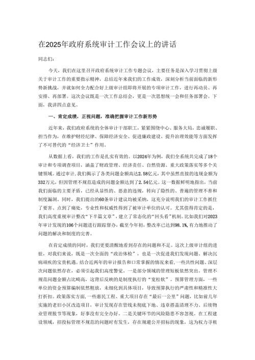 在2025年政府系统审计工作会议上的讲话.docx