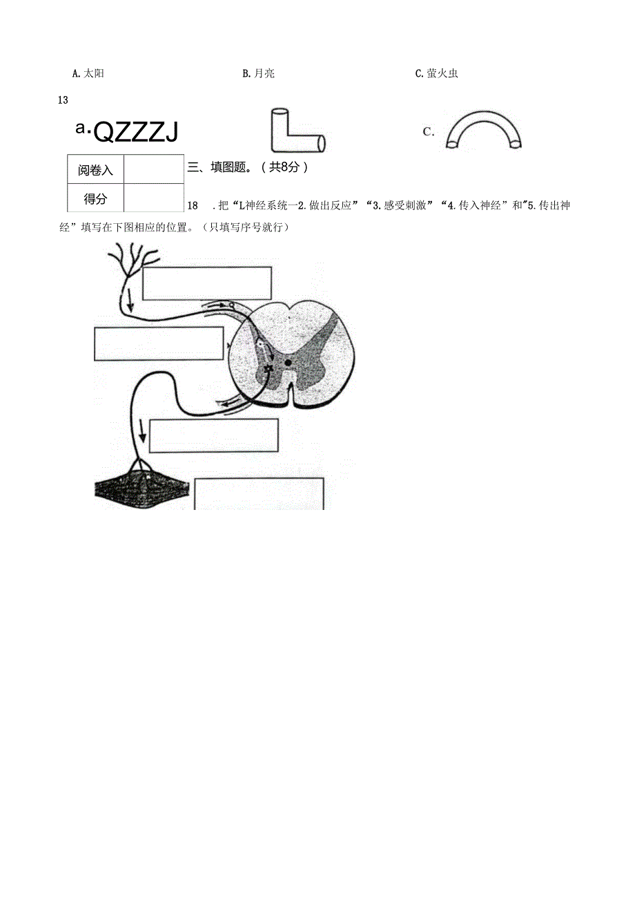 山东省菏泽市经济开发区2022-2023学年第一学期五年级科学期末试题.docx_第2页
