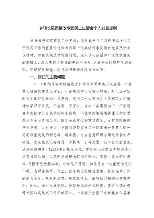 乡镇长巡察整改专题民主生活会个人发言提纲范本.docx