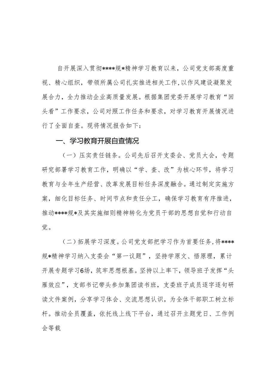 公司党支部2025年8月开展深入贯彻精神学习教育情况自查报告和工作总结.docx_第2页