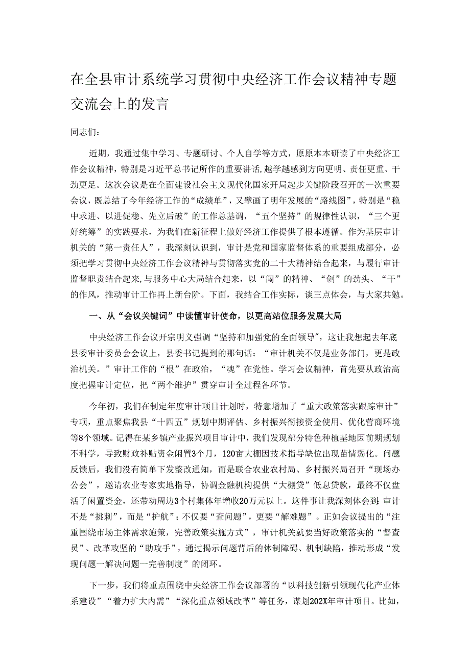在全县审计系统学习贯彻中央经济工作会议精神专题交流会上的发言.docx_第1页