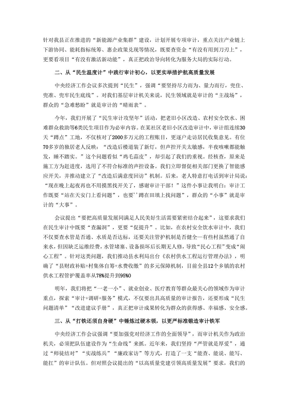 在全县审计系统学习贯彻中央经济工作会议精神专题交流会上的发言.docx_第2页