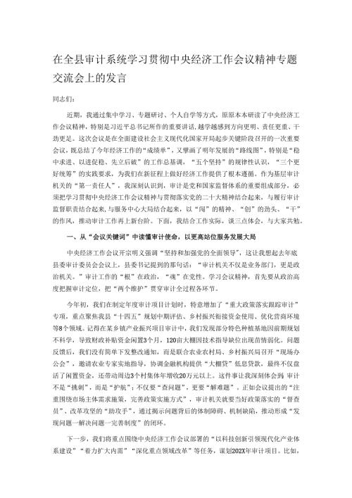 在全县审计系统学习贯彻中央经济工作会议精神专题交流会上的发言.docx