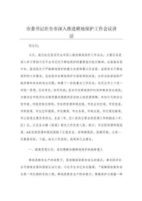 市委书记在全市深入推进耕地保护工作会议讲话.docx