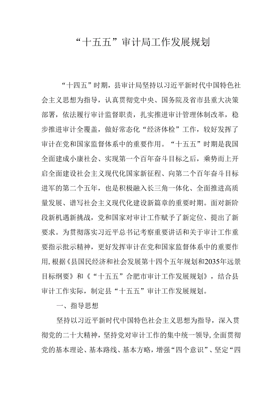 “十五五”审计局工作发展规划.docx_第1页