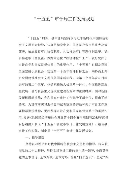“十五五”审计局工作发展规划.docx
