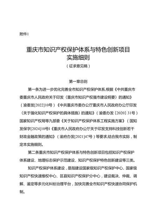 重庆市知识产权保护体系与特色创新项目实施细则（征.docx