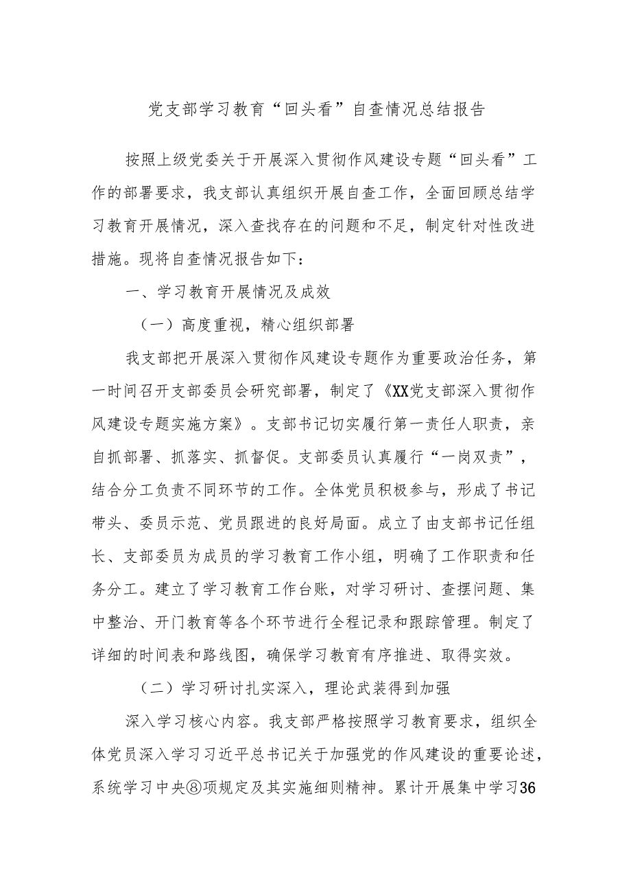 党支部学习教育“回头看”自查情况总结报告.docx_第1页