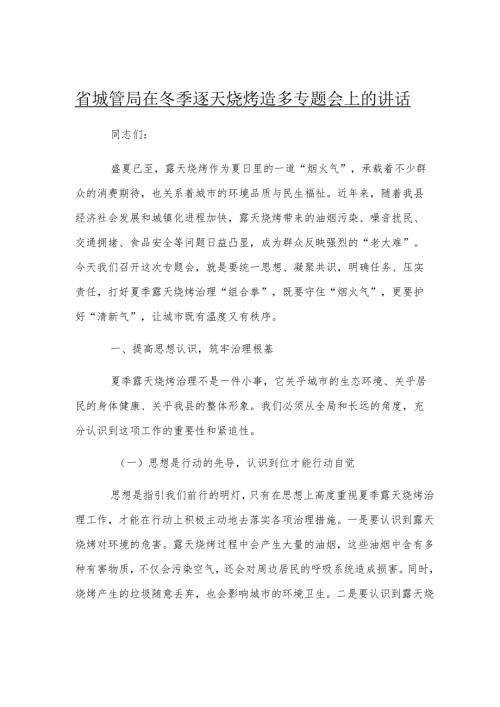 县城管局在夏季露天烧烤治理专题会上的讲话.docx